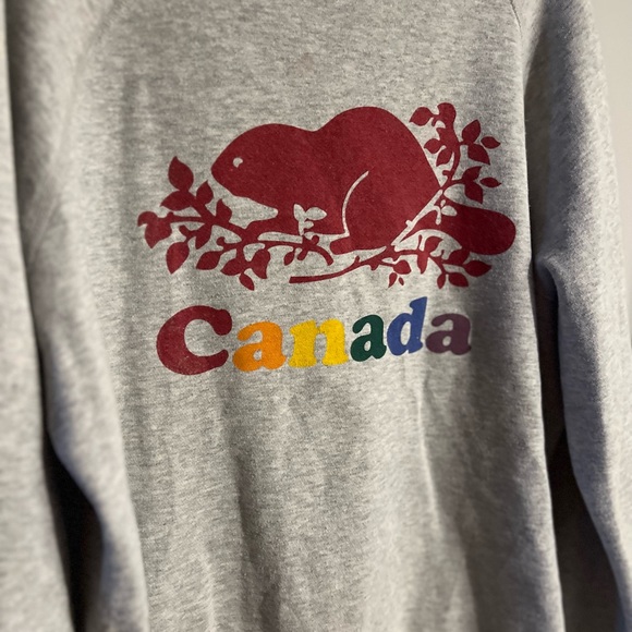 Rainbow Roots Canada Cooper Crew Neck - Women’s Medium in Grey - Picture 6 of 8